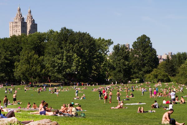 People enjoying a sunny day in Central Park, New York City, with lush trees and iconic skyline.