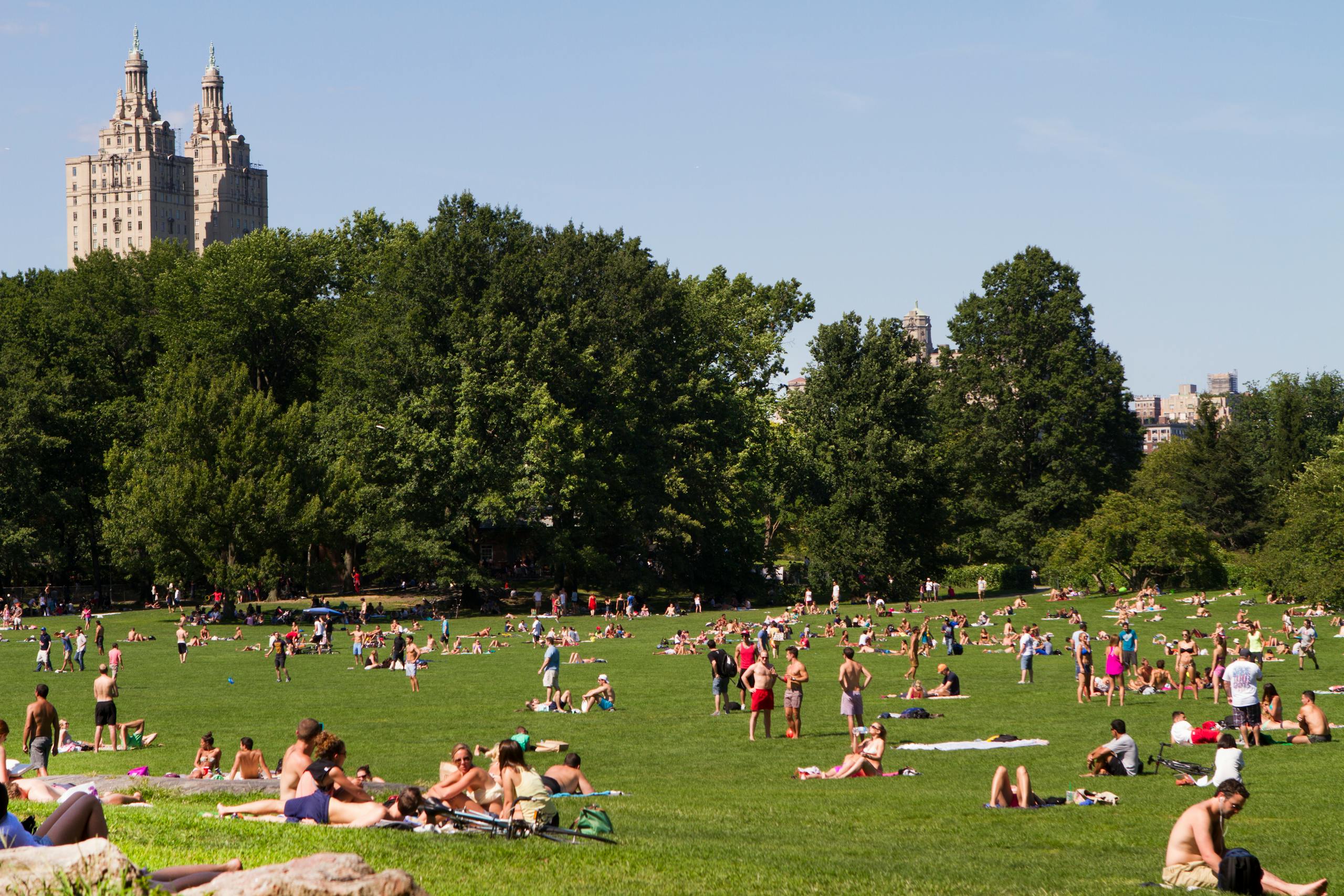 People enjoying a sunny day in Central Park, New York City, with lush trees and iconic skyline.